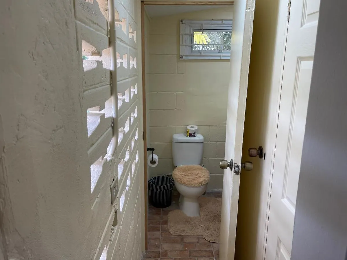 Arlene'S Nest Diego Martin - 3 Bedroom 1 & Half Bath Cozy Apt شقة